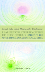 Book Cover for LEARNING TO EXPERIENCE THE ETHERIC WORLD