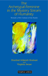 Book Cover for THE ARCHETYPAL FEMININE IN THE MYSTERY STREAM OF HUMANITY