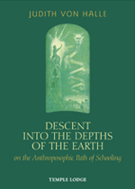 Book Cover for DESCENT INTO THE DEPTHS OF THE EARTH