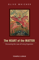 Book Cover for THE HEART OF THE MATTER