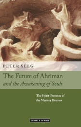 Book Cover for THE FUTURE OF AHRIMAN