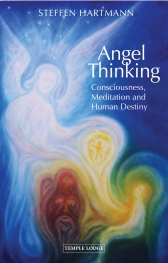 Book Cover for ANGEL THINKING